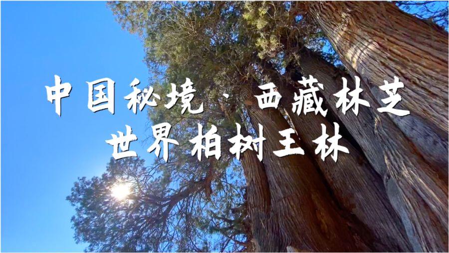 对方抖音设置了隐私刷同城能看到他作品吗?-58问答交流平台
