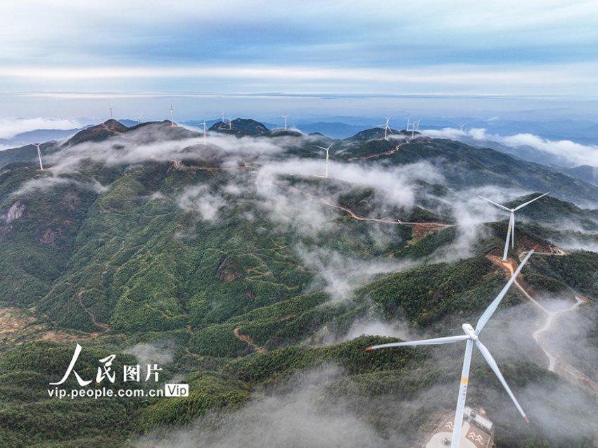 扶摇:当杨幂饰演的扶摇进入到天权王宫之后,发生了什么样的事情呢?知识问答网页-高效解答你的疑问